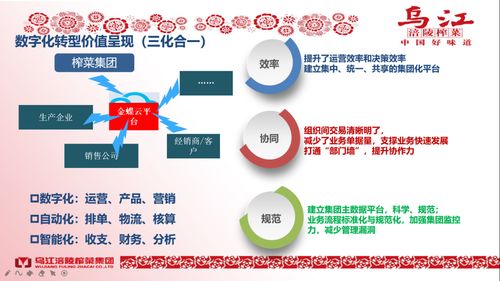 涪陵榨菜的數字化運營創新實踐——金蝶云·星空在食品行業的應用探索